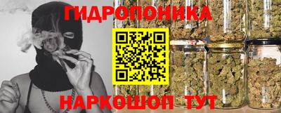 прущие грибы Гусев