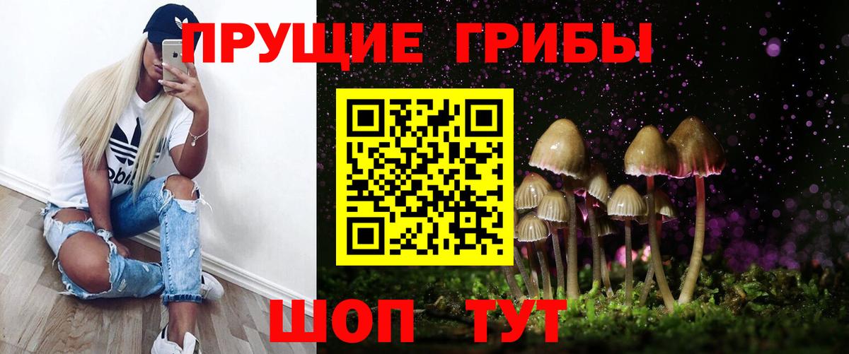 Магадан  Галлюциногенные грибы Psilocybine cubensis  Вход с VPN 